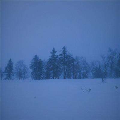 网信彩票-用户登录截图