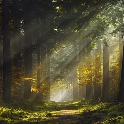 网信彩票-用户登录